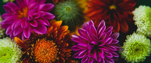 是个人魅力 是个人魅力