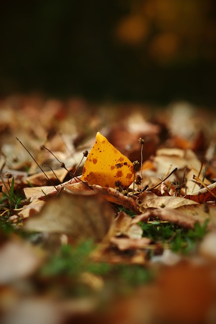 道路上占得 道路上占得