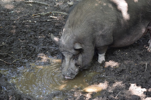 配合与年轻 配合与年轻