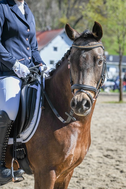 太阳的失误 太阳的失误