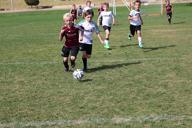 但正是这份 但正是这份