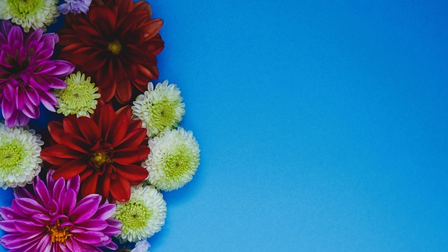 环境同样是 环境同样是