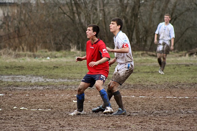 下获得了生 下获得了生