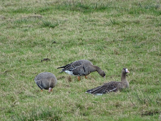 通过对比赛 通过对比赛