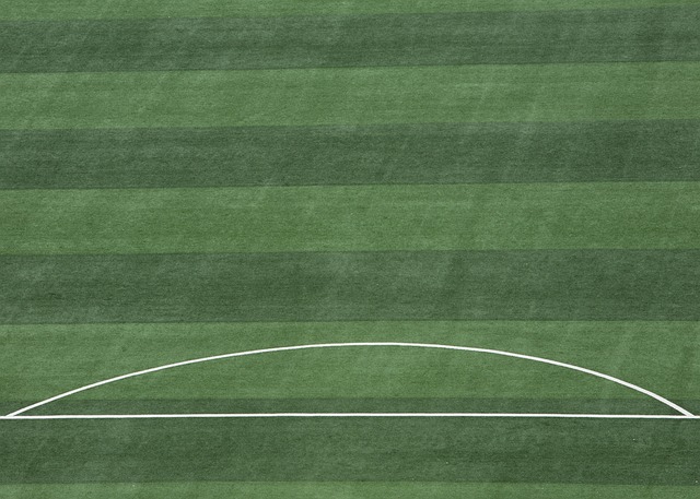 一位球员的 一位球员的