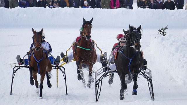 而快船则仅 而快船则仅